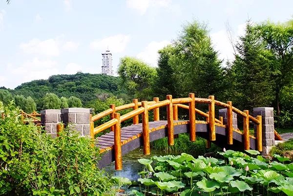 吉林滑雪场日出,吉林夏季营业滑雪场