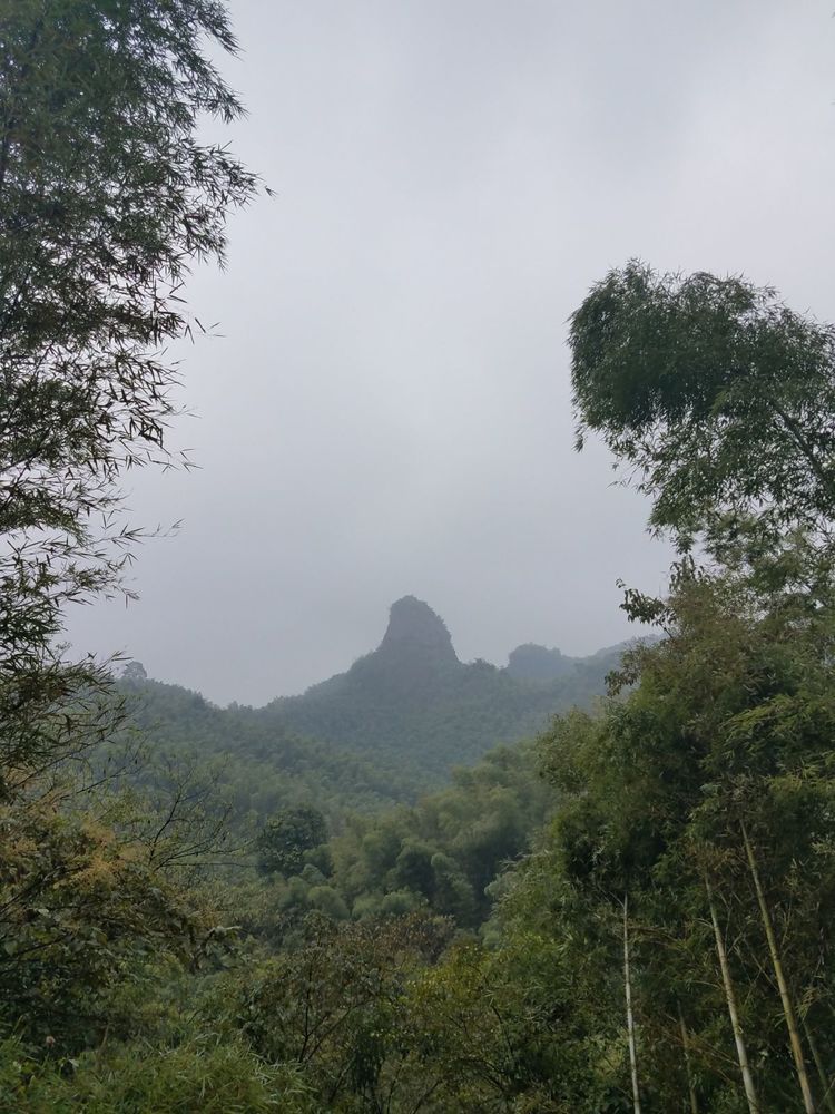 自驾郴州高椅岭旅游攻略,郴州仰天湖小东江高椅岭