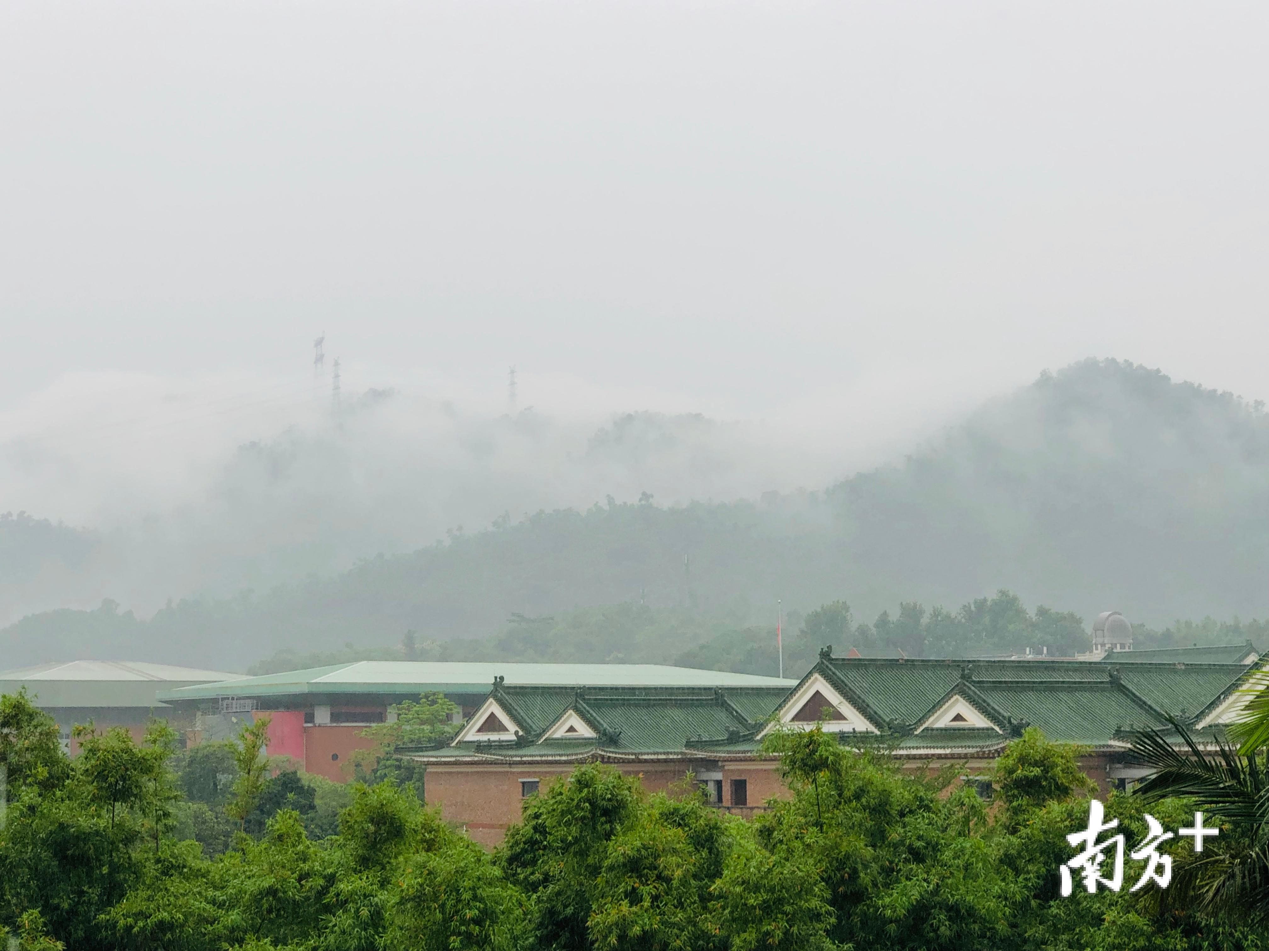 中山“画家村”：村民和艺术家做邻居，是什么画风？