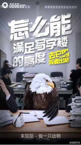 看，那些老人又在研究我们了