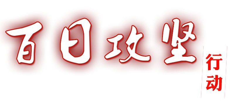 铜陵吹响重点项目“百日攻坚”冲锋号！