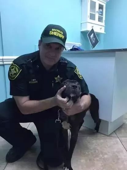 缉毒犬会染上毒瘾吗视频讲解,闻毒品的缉毒犬会因此染上毒瘾吗