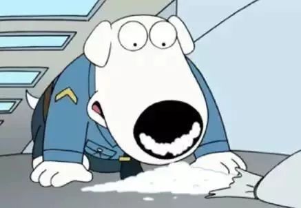 缉毒犬会染上毒瘾吗视频讲解,闻毒品的缉毒犬会因此染上毒瘾吗