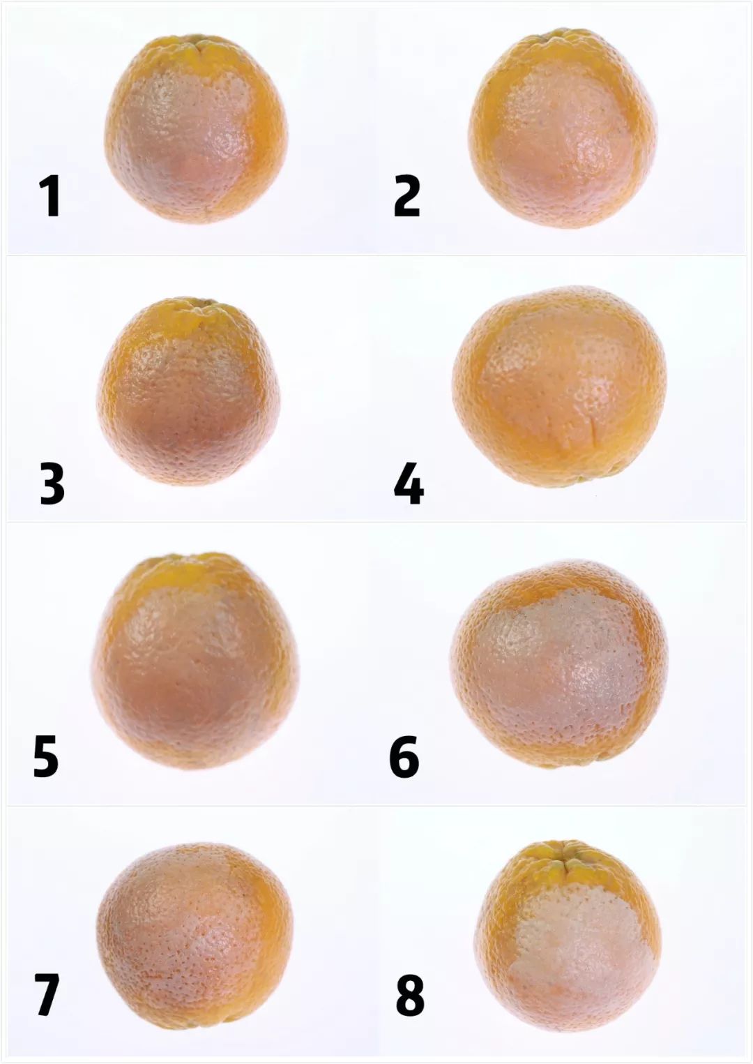 气垫哪一款持妆效果好,气垫用的乱七八糟