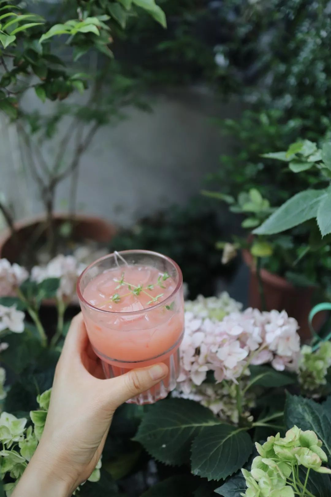 厦门|哎哟？这两家店有点野！