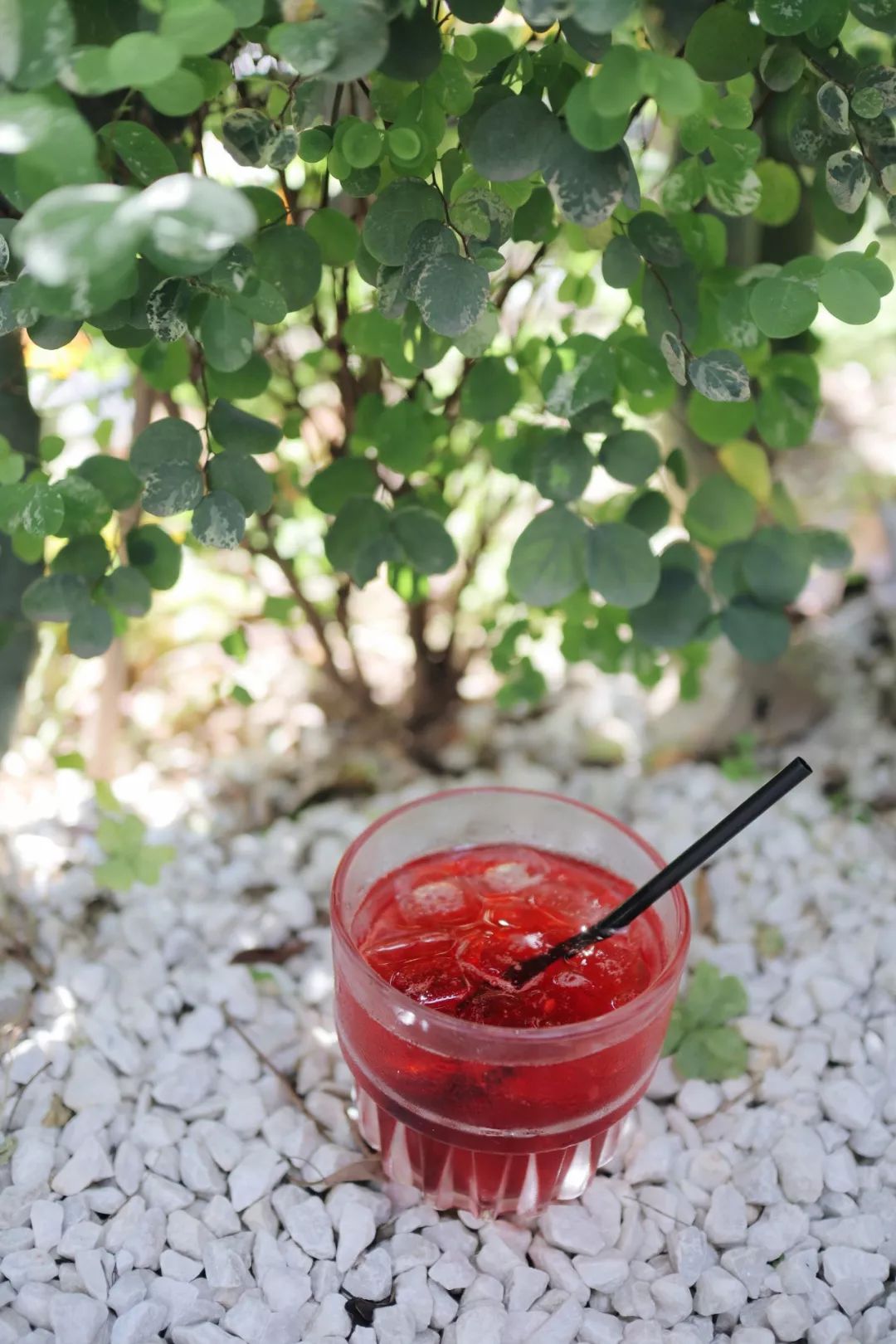 厦门|哎哟？这两家店有点野！