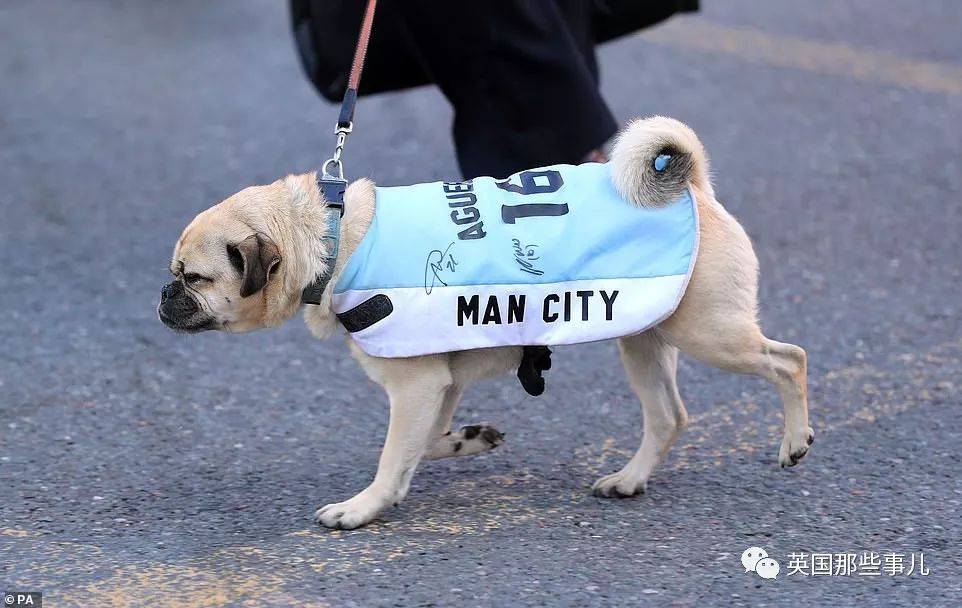 「vlog」登上球队大巴，被几万球迷包围，曼城四冠王夺冠巡游简直不能更嗨！