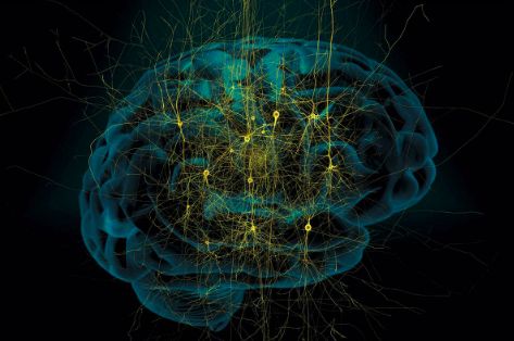 咖啡酱油都不碰，43岁“作”出钻石人生路
