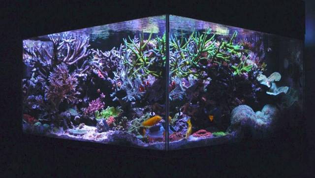 鉴定完毕就是好人吗,鉴定完毕就是亲生的没错了