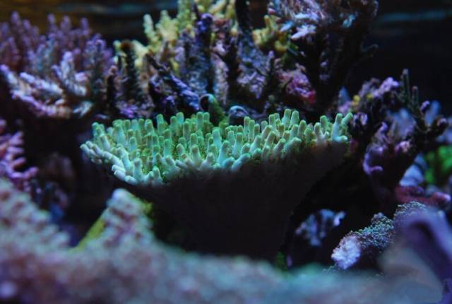 鉴定完毕就是好人吗,鉴定完毕就是亲生的没错了