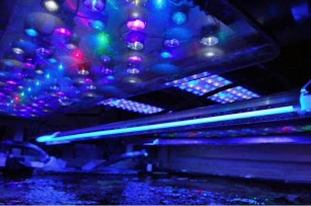 鉴定完毕就是好人吗,鉴定完毕就是亲生的没错了