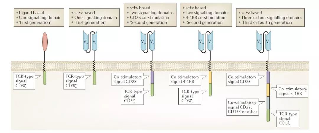 癌症免疫疗法为何对大多数人无效,深度好文癌症