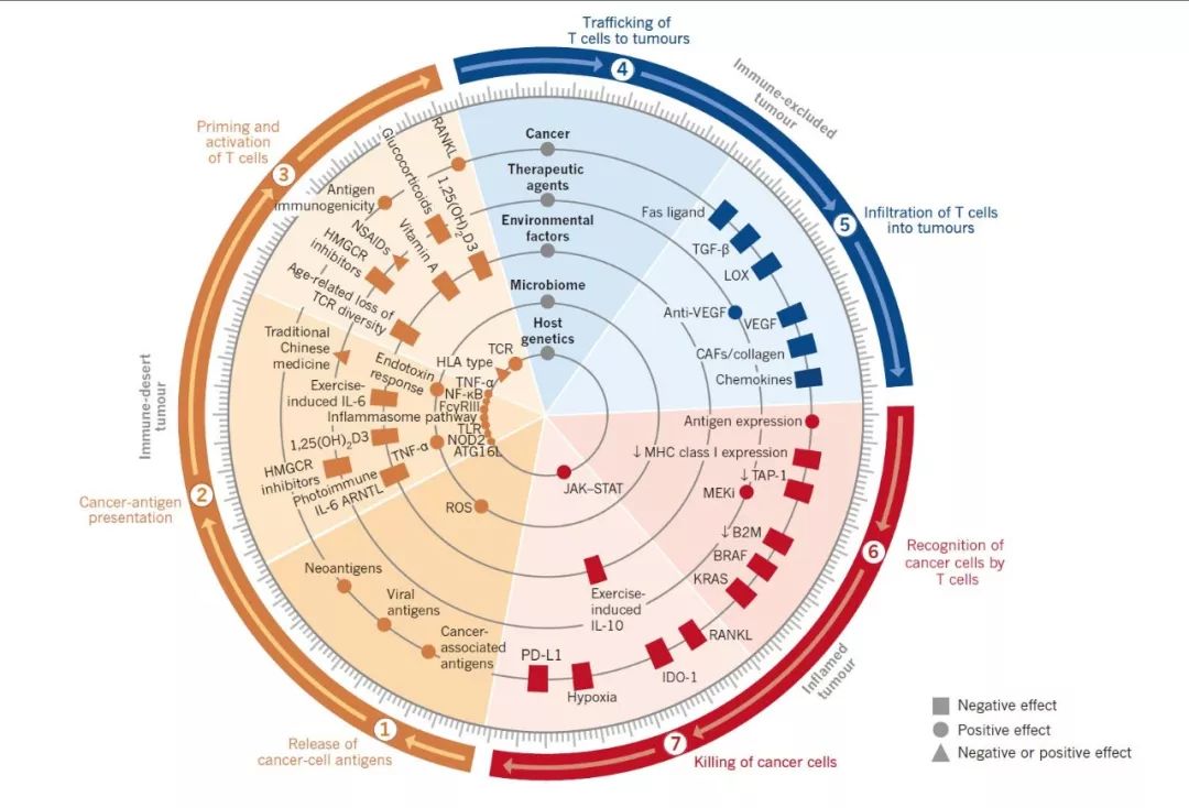癌症免疫疗法为何对大多数人无效,深度好文癌症