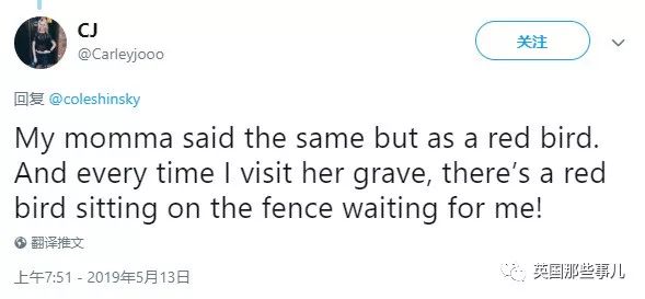 妈妈去世后化成黄蝴蝶,妈妈去世化作蝴蝶来看儿子