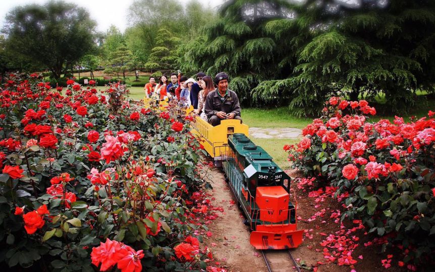 公园观光小火车推荐,探索魔都