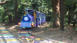 公园观光小火车推荐,探索魔都