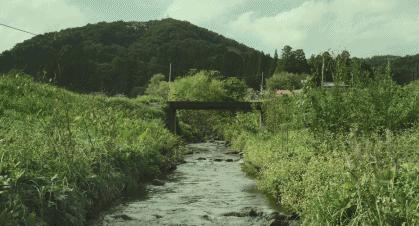 宫崎骏的夏天龙猫千与千寻,宫崎骏千与千寻国内上映时间