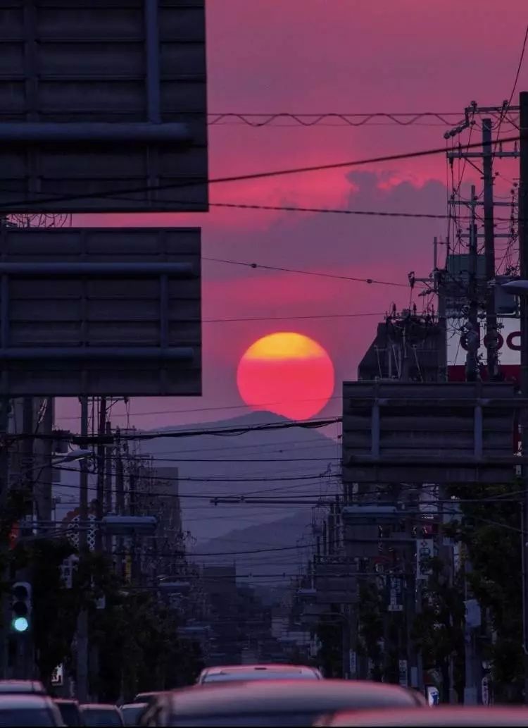 宫崎骏的夏天龙猫千与千寻,宫崎骏千与千寻国内上映时间