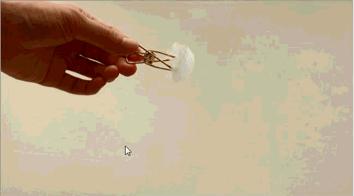 便宜的蚕丝被有什么套路,蚕丝被每日抢购