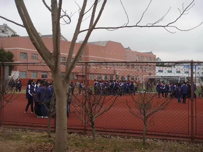 在知恩中学的49件小事2.0版