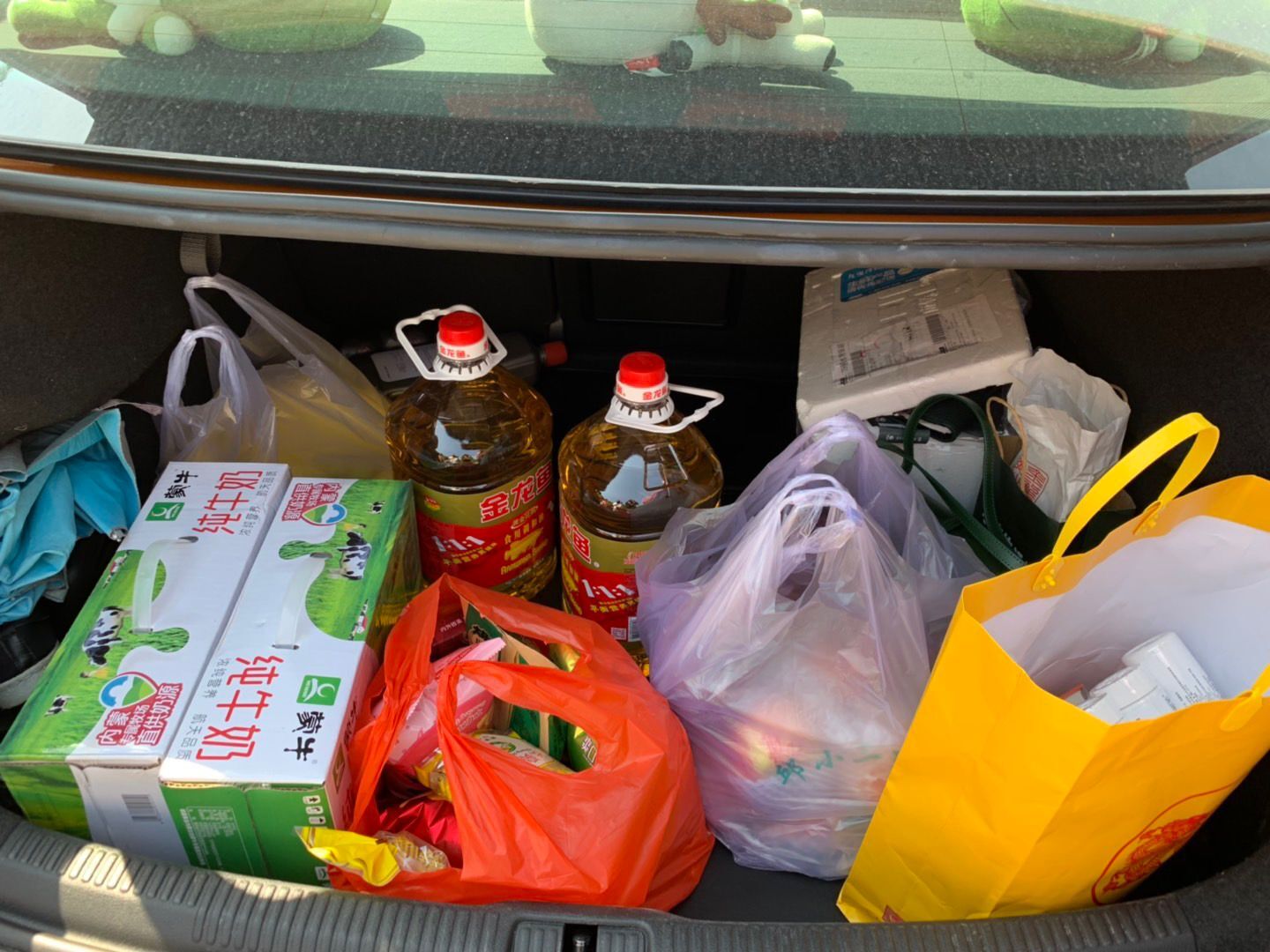 曾经被人帮助的感受,曾经资助过自己的恩人完整视频