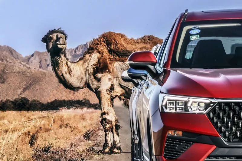 做公益，一汽奔腾是认真的！