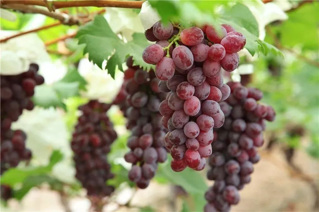 速看7月新规来了事关你的生活,6月1日提前退休什么时候办手续