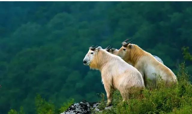 陕西最美县域,陕西最美的十大县