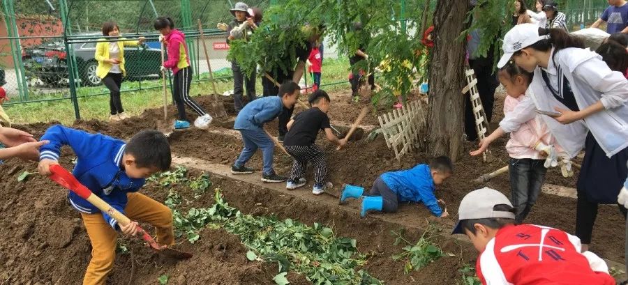 幼儿园免费入园体验,幼儿园免费体验班可以去体验吗