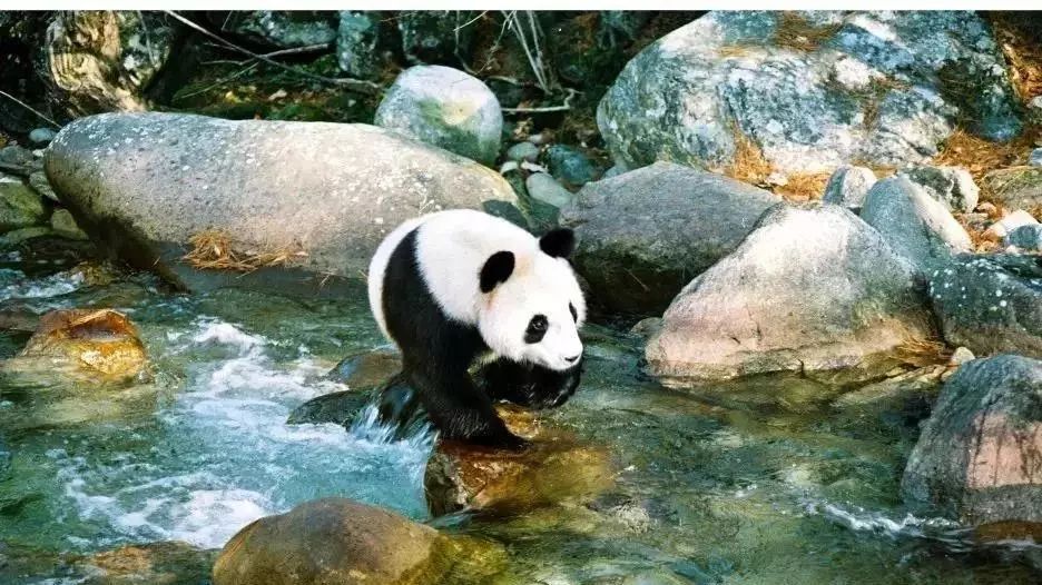 陕西最美县域,陕西最美的十大县