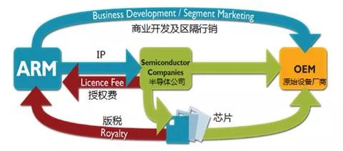 arm是什么样的公司,arm公司到底有多厉害