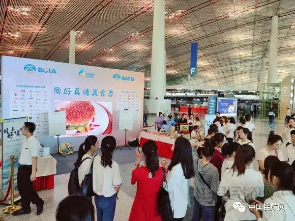 舌尖上的美食40道,舌尖上的菜谱1000道菜