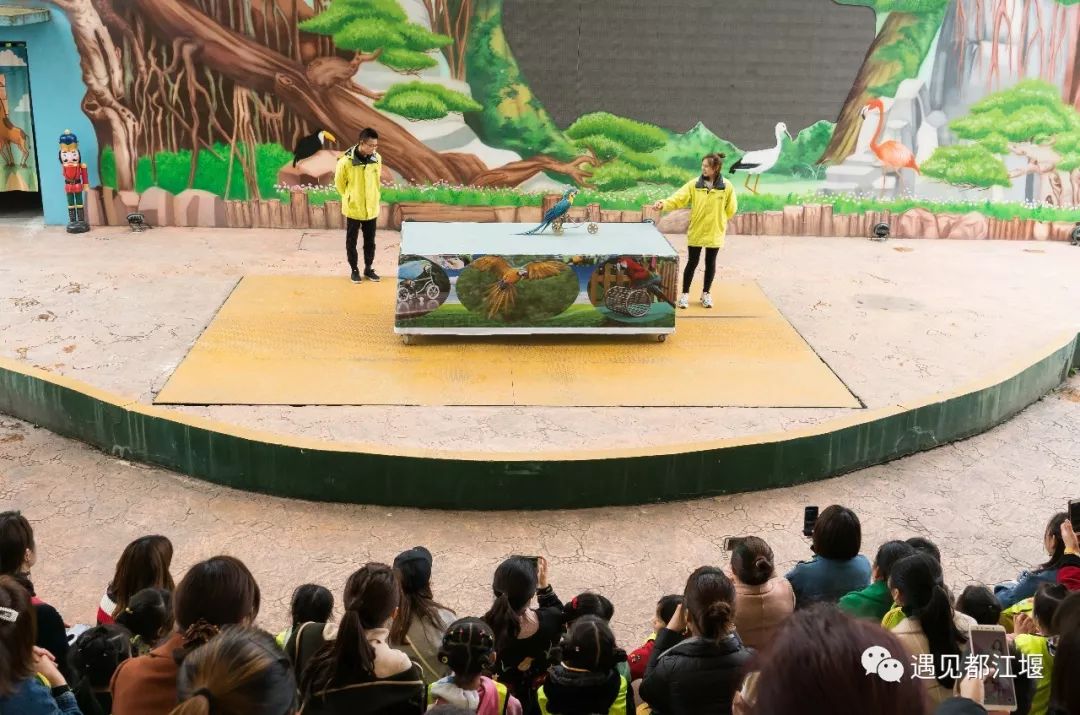 儿童节去哪里好玩,六一都江堰适合1-4岁亲子游的地方