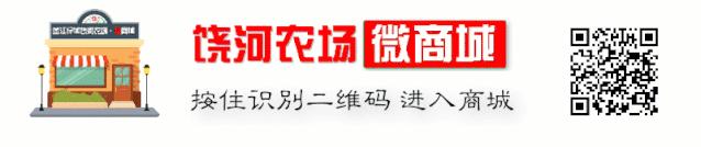 红兴隆职业教育中心,红兴隆招聘信息