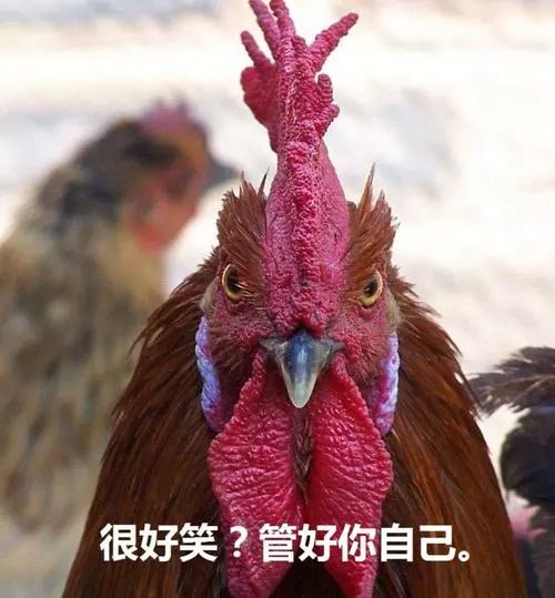 月入过万的高薪行业,冷门打工月入过万