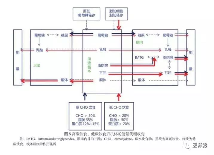 预防血汗管代谢疾病生活指南,低碳饮食治疗很多代谢病
