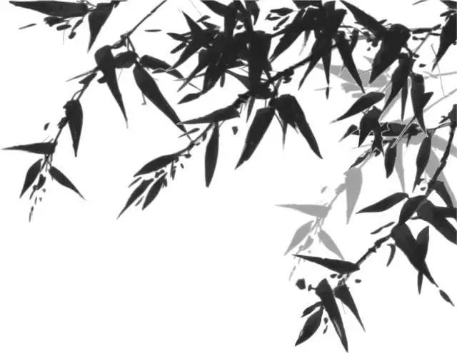 穆如清风的完结作品,穆如清风最新视频
