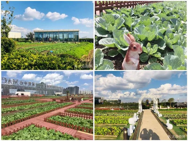 2023商业变革,商业转型新升级