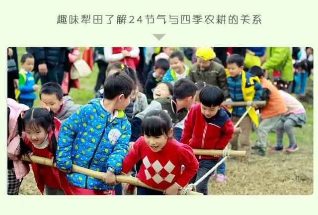 都江堰熊猫谷铲屎官报名,成都大熊猫铲屎官志愿者活动