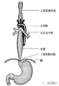 为什么麻醉手术前禁食,全身麻醉手术前的禁食原则是什么