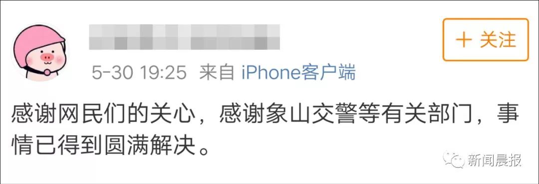 女子开车撞狗怎么判,女子驾车撞狗被判主责