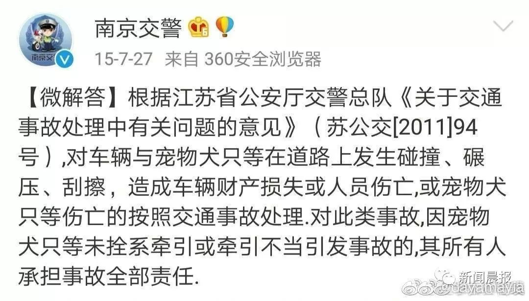 女子开车撞狗怎么判,女子驾车撞狗被判主责