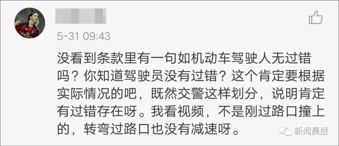 女子开车撞狗怎么判,女子驾车撞狗被判主责