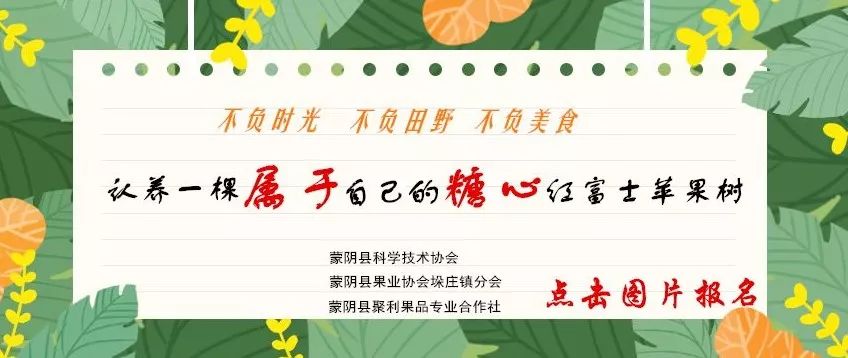 临沂教育发布最新通知,今日临沂教育局下的通知