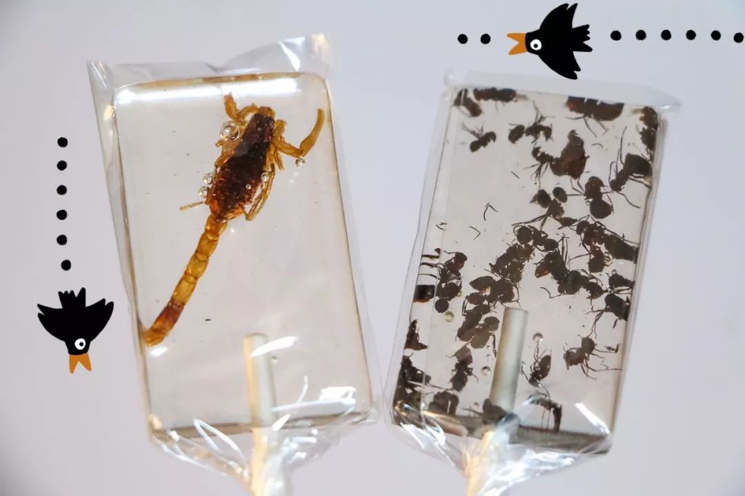 绝交！六一节竟然送我香菜薯片、虫子和卫生巾？