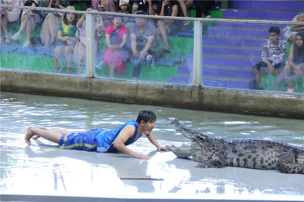 泰国沟通｜万中遇上易三仓，这个夏天太美好！