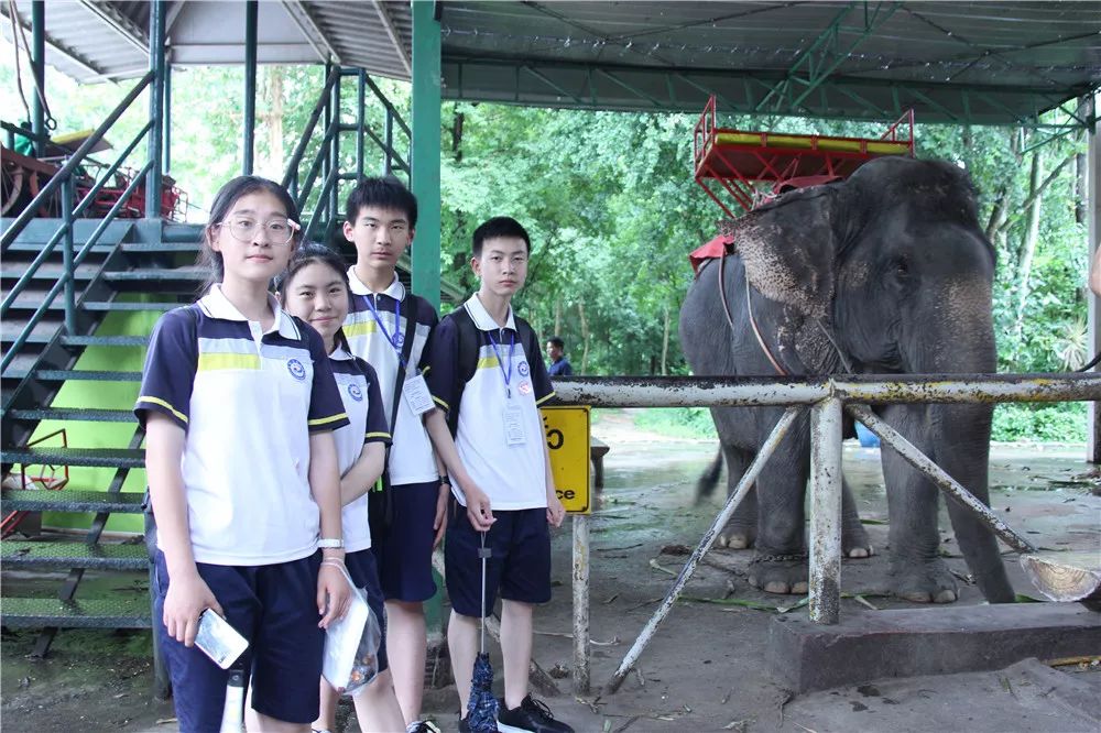 泰国沟通｜万中遇上易三仓，这个夏天太美好！