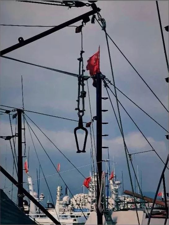 茂名拍摄艺术照,广东茂名的摄影