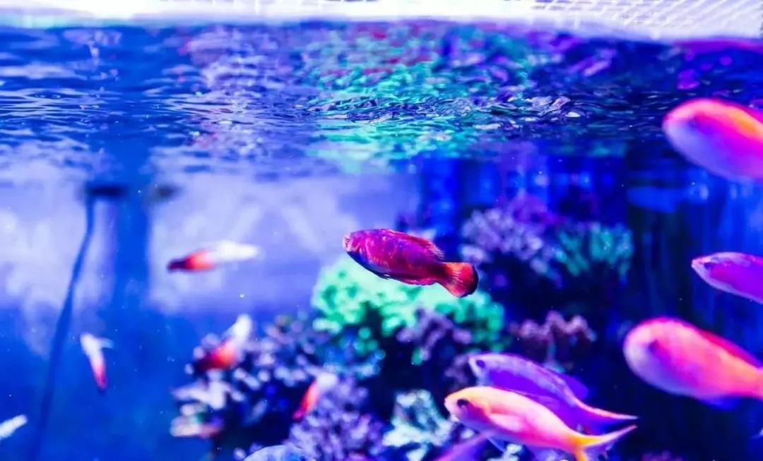 whatsapp时钟不正确怎么调,whatsapp显示版本过低