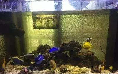 whatsapp时钟不正确怎么调,whatsapp显示版本过低